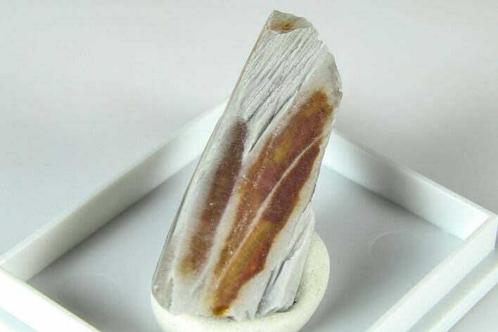 Rare Quartz Crystal with White Sodic-Ferrogedrite - Brazil #379833